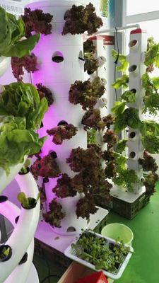 6p10 Sistema de hidroponía vertical torre de jardín vegetales de interior torre de jardín sistema de aeroponía