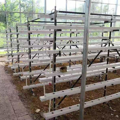 sistema de cultivo hidropónico NFT comercial invernadero canal hidropónico NFT