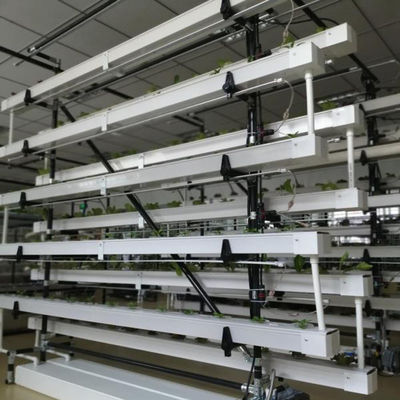 sistema de cultivo hidropónico NFT comercial invernadero canal hidropónico NFT