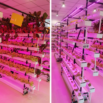 sistema de cultivo hidropónico NFT comercial invernadero canal hidropónico NFT