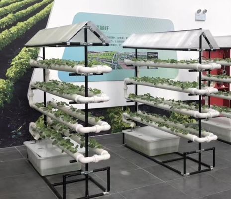 sistema de cultivo hidropónico NFT comercial invernadero canal hidropónico NFT