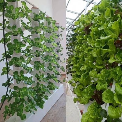 Sistema de plantación aeropónico de columna hidropónica vertical perfecta Torre de cultivo aeropónica