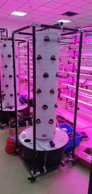Sistema hidropónico Torre aeropónicaJardín hidropónico giratorio para vegetales de hoja