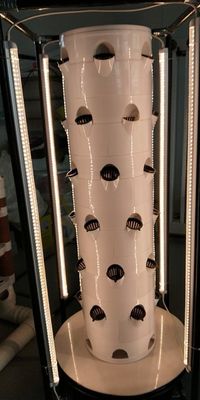 Sistema hidropónico Torre aeropónicaJardín hidropónico giratorio para vegetales de hoja