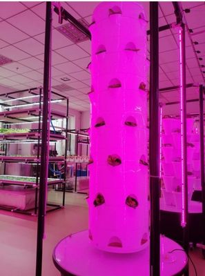 Sistema hidropónico Torre aeropónicaJardín hidropónico giratorio para vegetales de hoja