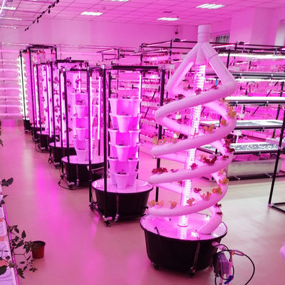 Plantas Sistema hidropónico de doble hélice hidropónico giratorio de cultivo espiral NFT