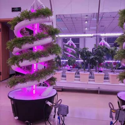 Planta en espiral vertical Cultivación de torres hidropónicas Cultivo de jardín Sistema aeropónico