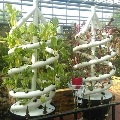 La planta espiral vertical de la familia crece el cultivo vegetal interior del aerosol de la torre hidropónica