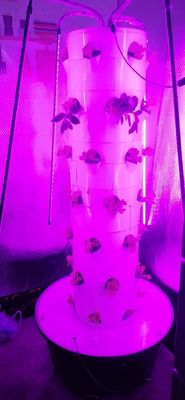 Sistema hidropónico Torre aeropónica para la agricultura rotativa de fresas y verduras de hoja