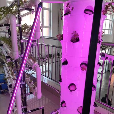 Sistema hidropónico Torre aeropónica para la agricultura rotativa de fresas y verduras de hoja