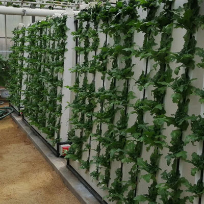 Sistema hidropónico de plantas de jardín de interior Zipgrow con luz LED