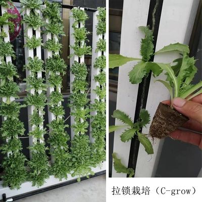 Sistema hidropónico de plantas de jardín de interior Zipgrow con luz LED