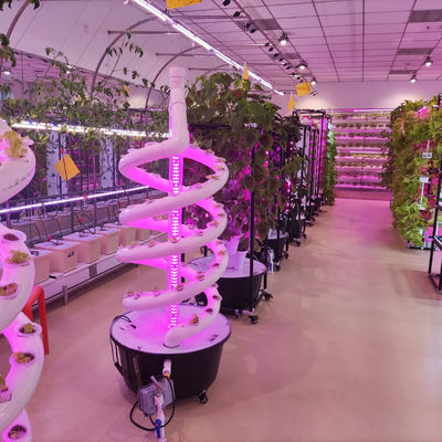 Plantas Sistema hidropónico de doble hélice hidropónico giratorio de cultivo espiral NFT