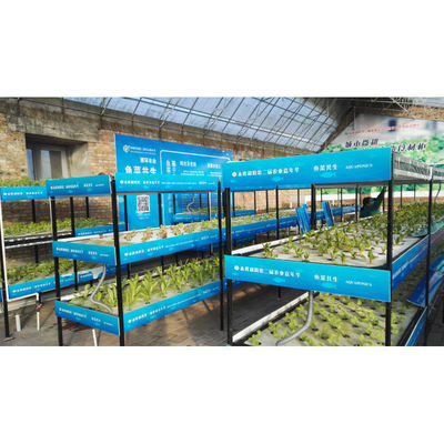 Aquapónica Sistema de cultivo hidropónico de invernadero Tanque de peces para pescado y verduras