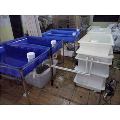 Aquapónica Sistema de cultivo hidropónico de invernadero Tanque de peces para pescado y verduras