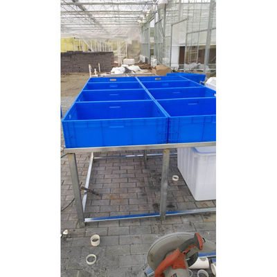 Aquapónica Sistema de cultivo hidropónico de invernadero Tanque de peces para pescado y verduras