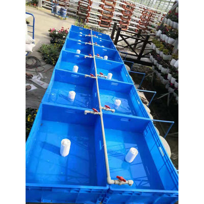 Aquapónica Sistema de cultivo hidropónico de invernadero Tanque de peces para pescado y verduras