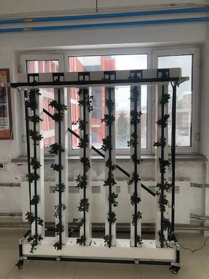 Hidroponía comercial Nft Sistema de cultivo vertical de fresas y flores Torre de cultivo de cierre