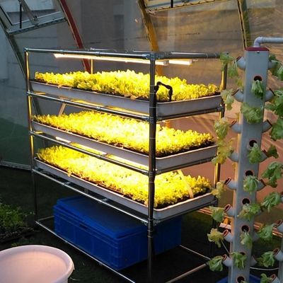 Sistemas verticales de siembra Sistemas comerciales de flujo y reflujo invernaderos agrícolas