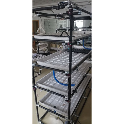 Sistemas verticales de siembra Sistemas comerciales de flujo y reflujo invernaderos agrícolas